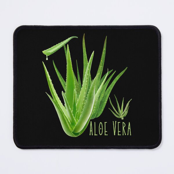 Item preview, Green Aloe Vera Succulent House Plant Design designed and sold by EarthArtDesigns.