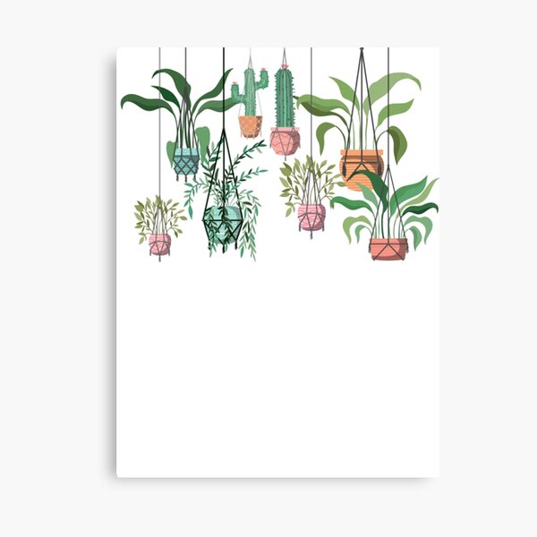 Item preview, Hanging Planters designed and sold by Aleksander37.