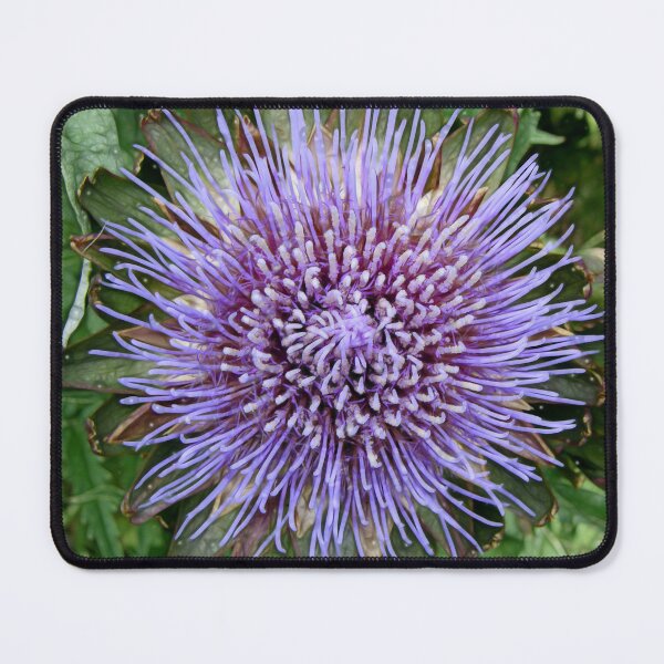 Item preview, Artichoke Heart designed and sold by Rhonda Strickland.