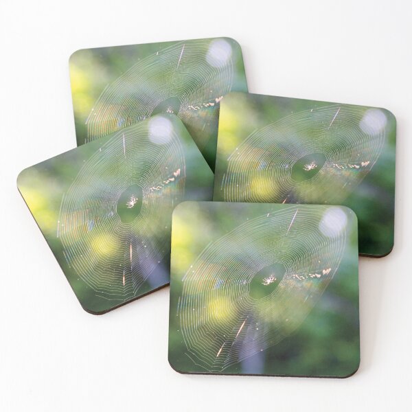 Item preview, Glistening spider web on a sunny morning designed and sold by Rennie Palmer.