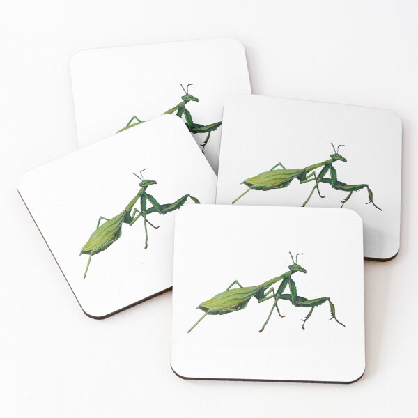 Item preview,  Preying mantis white background  designed and sold by dawnduthie.