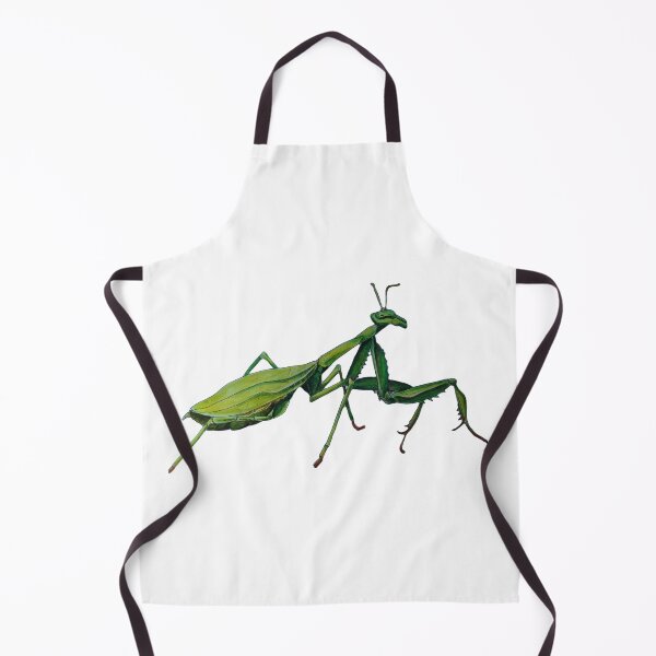 Item preview, Preying mantis white background designed and sold by dawnduthie.