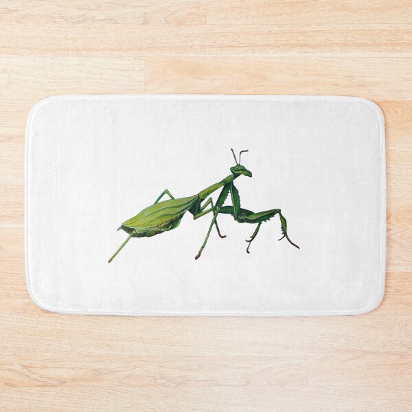 Item preview,  Preying mantis white background  designed and sold by dawnduthie.