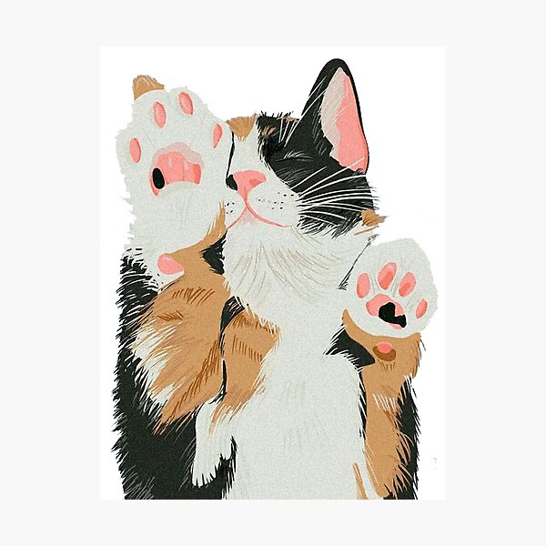 Item preview, Pampered kitten designed and sold by Angelica Maria  Franco Cano.