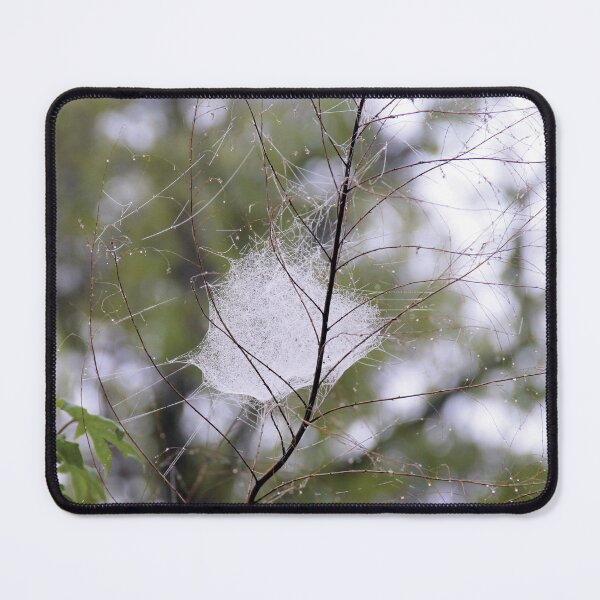 Item preview, A cotton candy network of spider web designed and sold by Rennie Palmer.