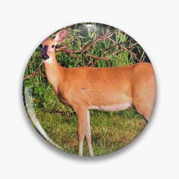 Item preview, Doe designed and sold by BellsPainting.