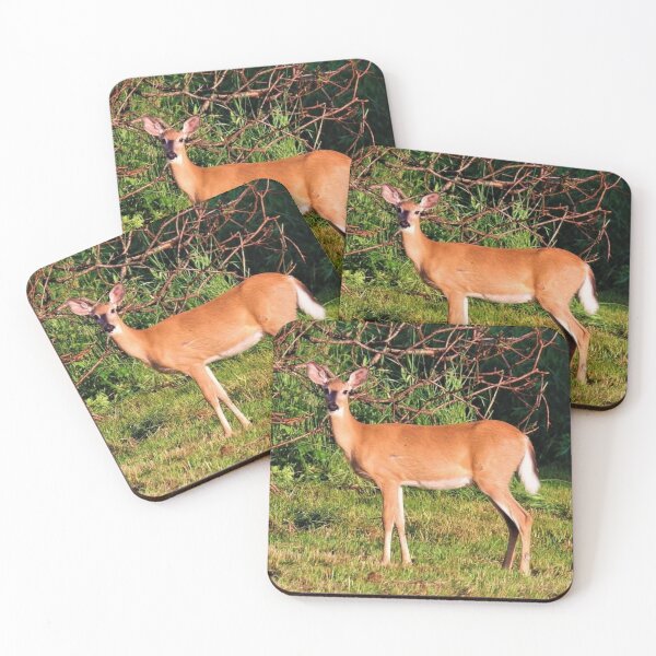 Item preview, Doe designed and sold by BellsPainting.