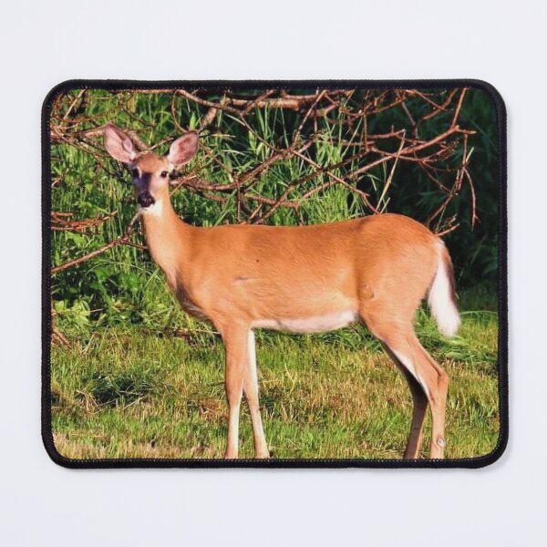 Item preview, Doe designed and sold by BellsPainting.