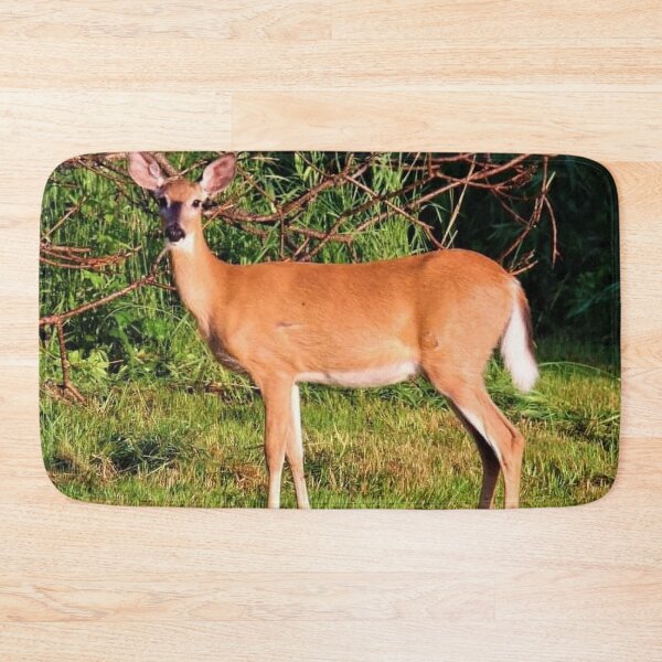 Item preview, Doe designed and sold by BellsPainting.