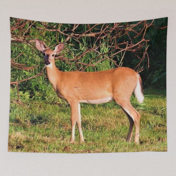 Item preview, Doe designed and sold by BellsPainting.