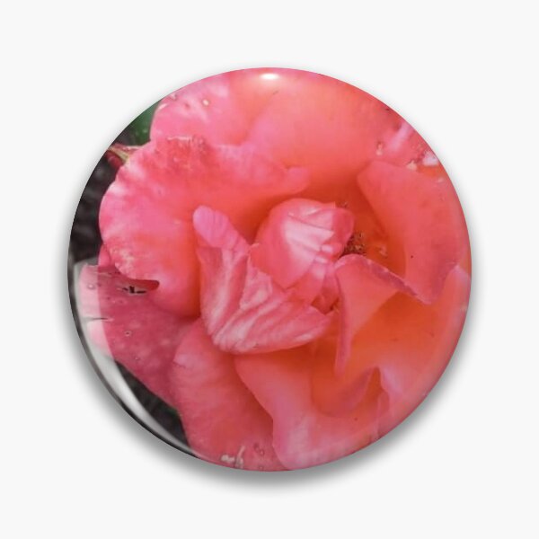 Item preview, Hybrid Tea Rose designed and sold by BellsPainting.