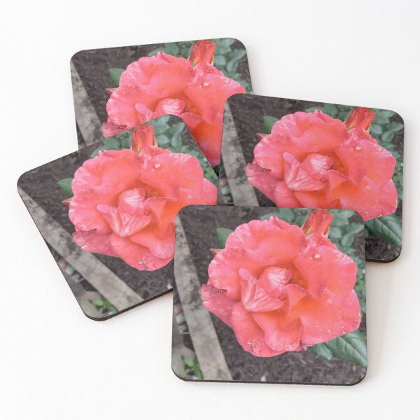 Item preview, Hybrid Tea Rose designed and sold by BellsPainting.