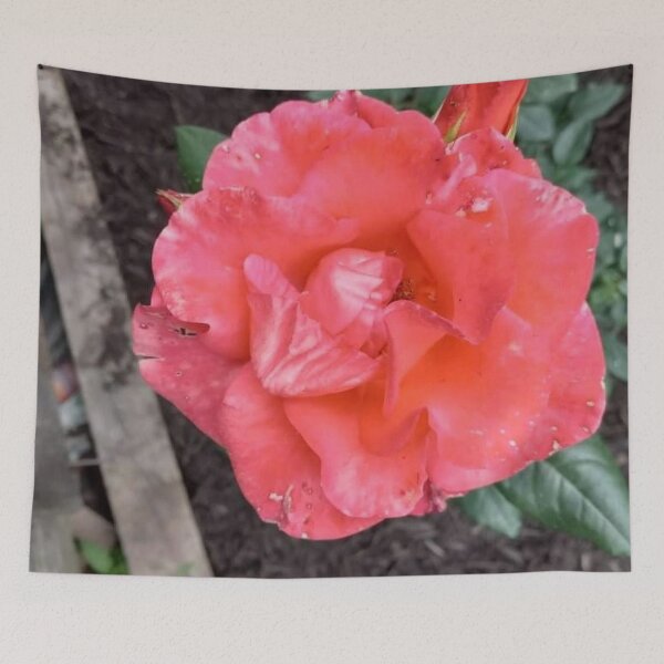 Item preview, Hybrid Tea Rose designed and sold by BellsPainting.