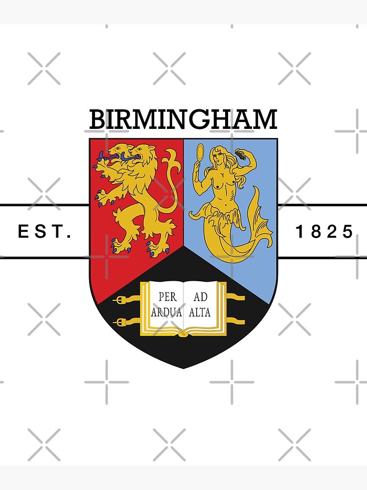 level-i-university-of-birmingham