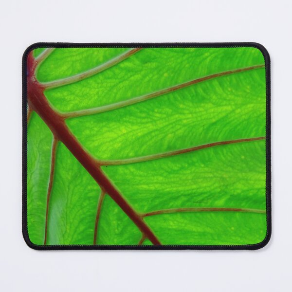 Item preview, Leaf #0017 designed and sold by Jeffrey Mask.