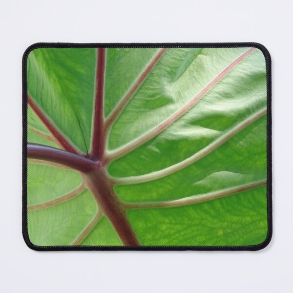 Item preview, Leaf #0018 designed and sold by Jeffrey Mask.