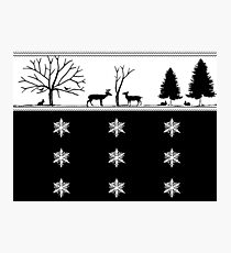Winter Scenery Photographic Print