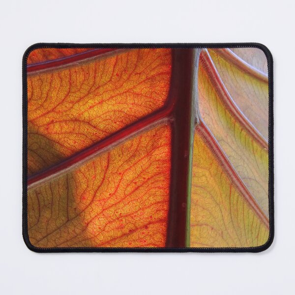 Item preview, Leaf #0019 designed and sold by Jeffrey Mask.