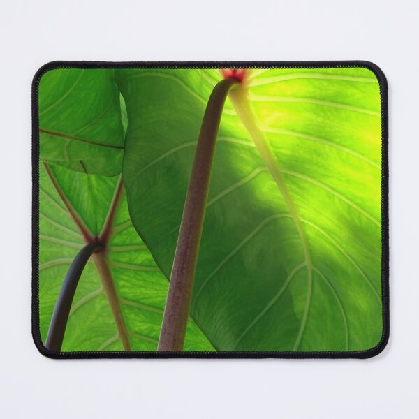 Item preview, Leaf #0020 designed and sold by Jeffrey Mask.