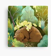 Bear Nest Canvas Print
