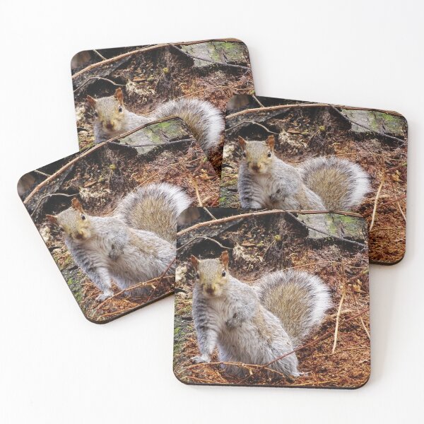 Item preview, Cute Squirrel #0052 designed and sold by Jeffrey Mask.