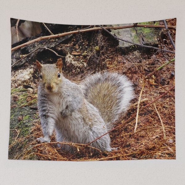 Item preview, Cute Squirrel #0052 designed and sold by Jeffrey Mask.