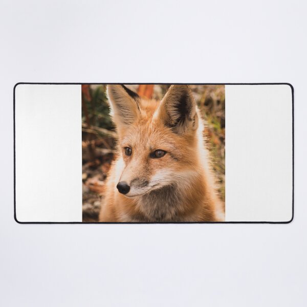 Item preview, The tale of the fox designed and sold by Inspieation.