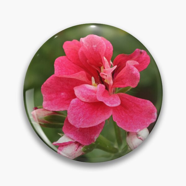 Item preview, Geranium Flower Digital Photo designed and sold by SarahSison.