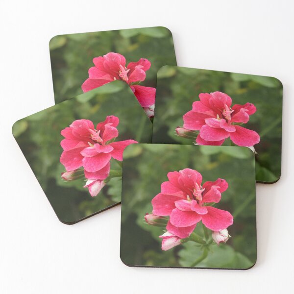 Item preview, Geranium Flower Digital Photo designed and sold by SarahSison.