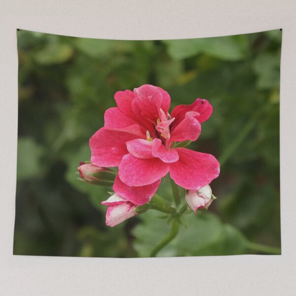 Item preview, Geranium Flower Digital Photo designed and sold by SarahSison.