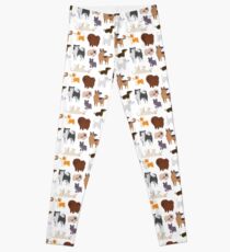 Dog Breeds Pattern Leggings