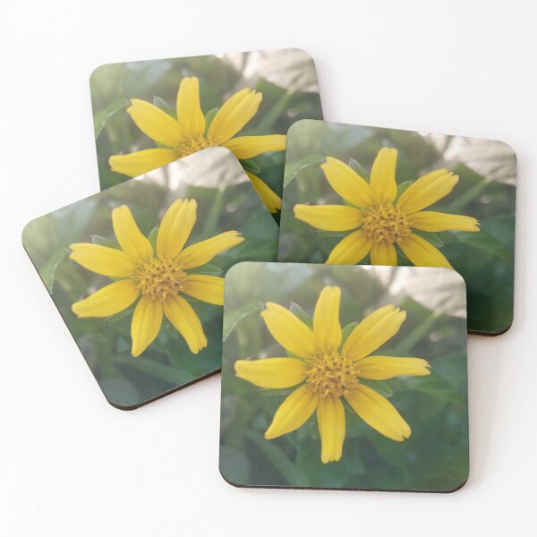 Item preview, Yellow color wild flower in green background designed and sold by DHAMMISTYLES.