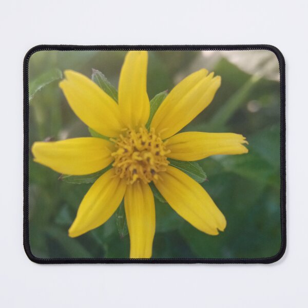 Item preview, Yellow color wild flower in green background designed and sold by DHAMMISTYLES.