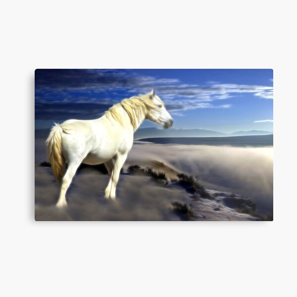 White Dream Metal Print
