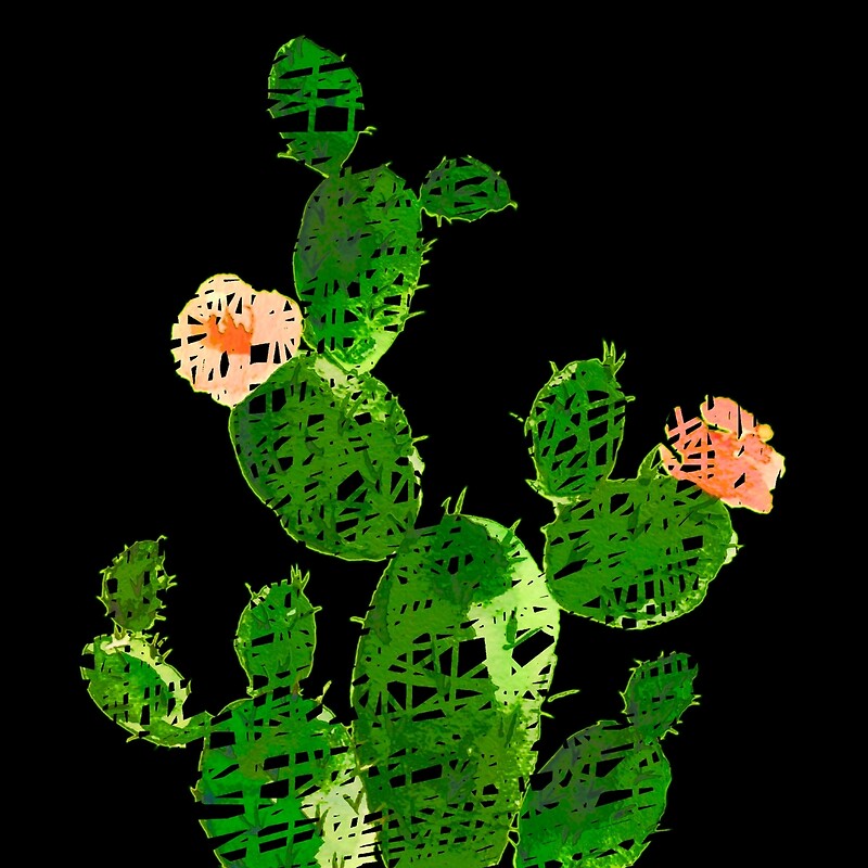 Drole De Cactus Weird Cactus On Black Background By Clemfloral Redbubble Drole De Cactus Weird Cactus On Black Background By Clemfloral Redbubble