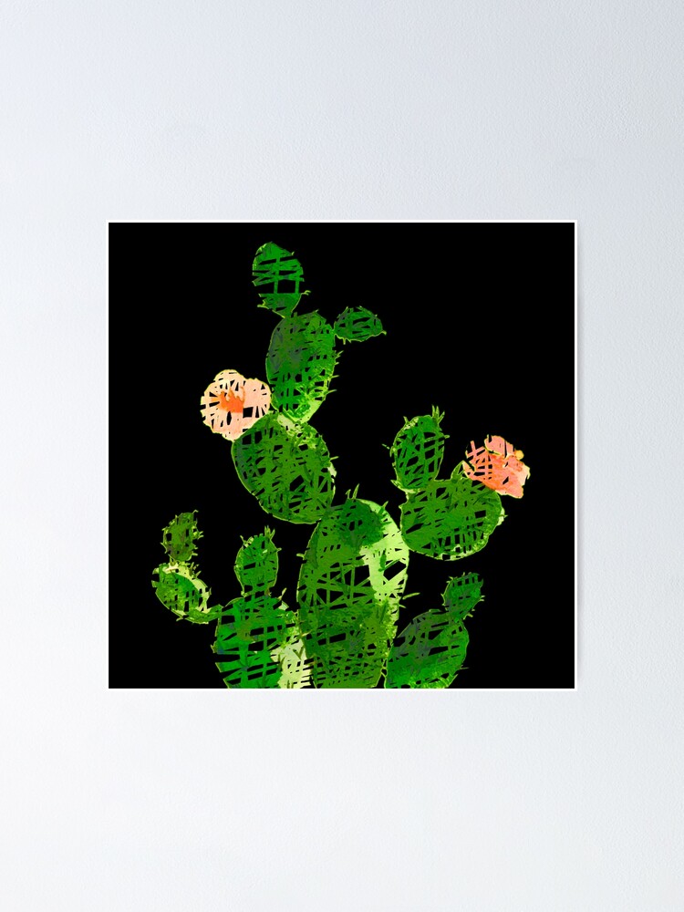 Drole De Cactus Weird Cactus On Black Background Poster By Clemfloral Redbubble Drole De Cactus Weird Cactus On Black Background Poster By Clemfloral Redbubble