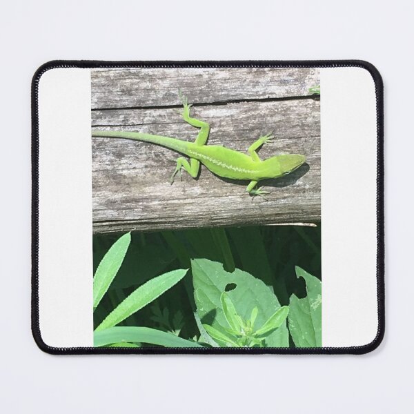 Item preview, Green Anole designed and sold by NimsNature.