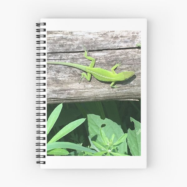 Item preview, Green Anole designed and sold by NimsNature.