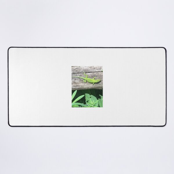 Item preview, Green Anole designed and sold by NimsNature.