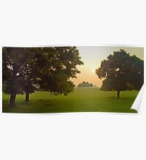 Trees Poster