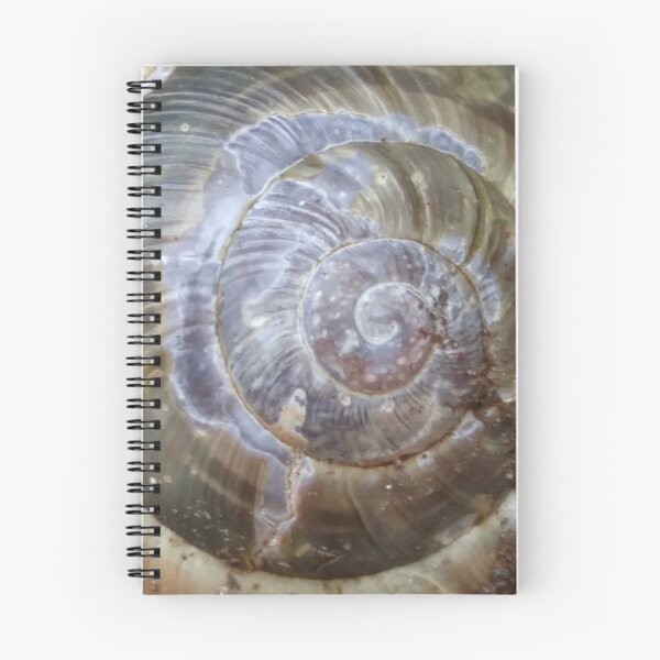 Item preview, snail shell spiral close-up texture photo designed and sold by Travis Peterson.