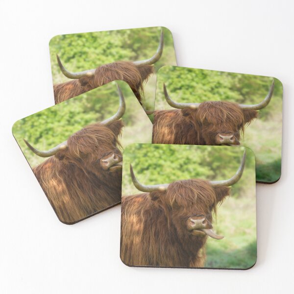Item preview, Highland Cow Sticking Out His Tongue designed and sold by rawshutterbug.