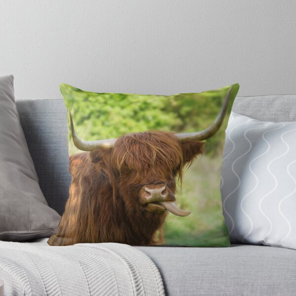 Item preview, Highland Cow Sticking Out His Tongue designed and sold by rawshutterbug.