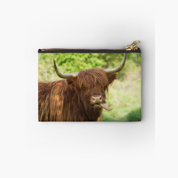 Item preview, Highland Cow Sticking Out His Tongue designed and sold by rawshutterbug.