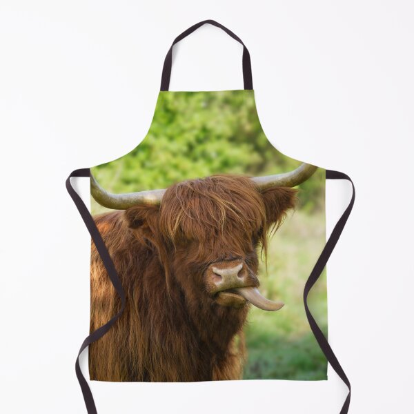 Item preview, Highland Cow Sticking Out His Tongue designed and sold by rawshutterbug.