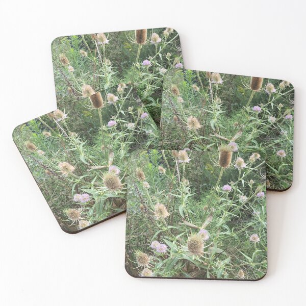 Item preview, Teasel 1 designed and sold by NimsNature.