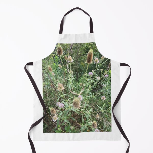 Item preview, Teasel 1 designed and sold by NimsNature.