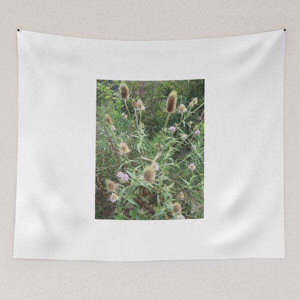 Item preview, Teasel 1 designed and sold by NimsNature.
