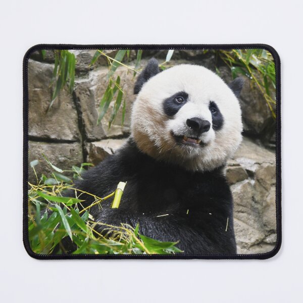 Item preview, Mama Mei Xiang the Giant Panda designed and sold by richardbryce.