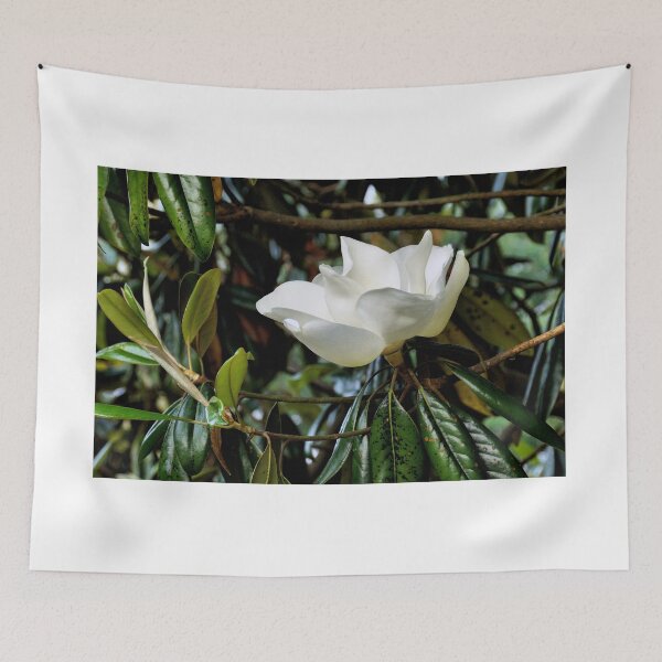 Item preview, Magnolia 4 - Florida designed and sold by jtrommer.